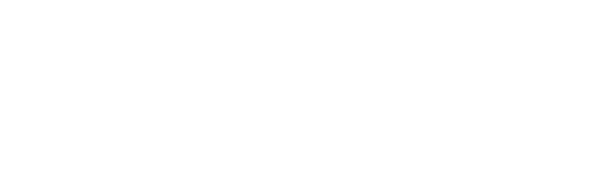 Company Growth Academy